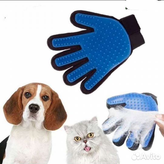 Для животных многое