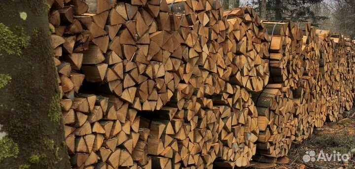 Дрова с Приозерска