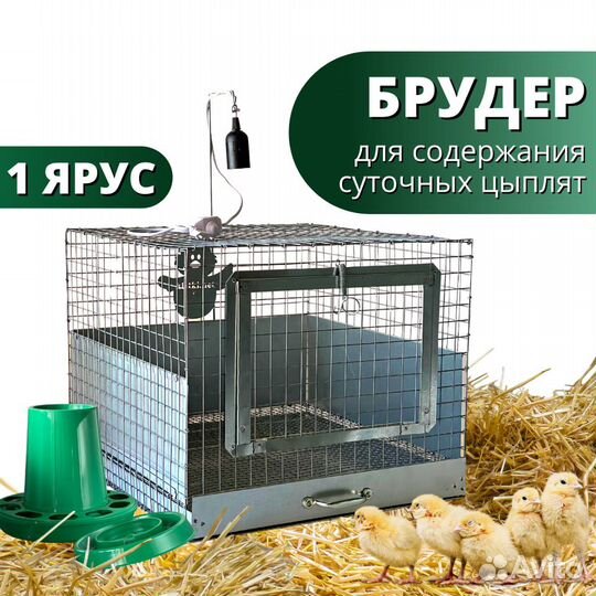 Брудер для цыплят. Эконом