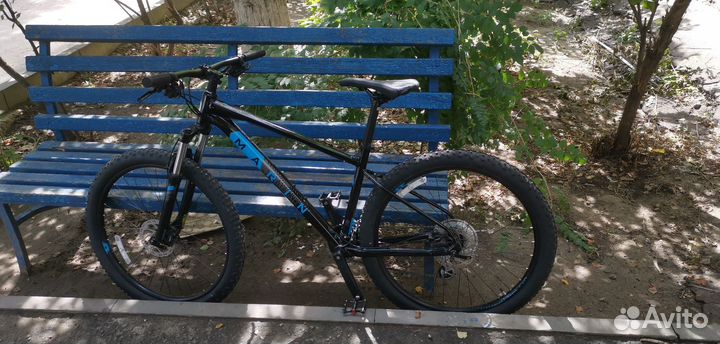 Marin Bobcat Trail 3