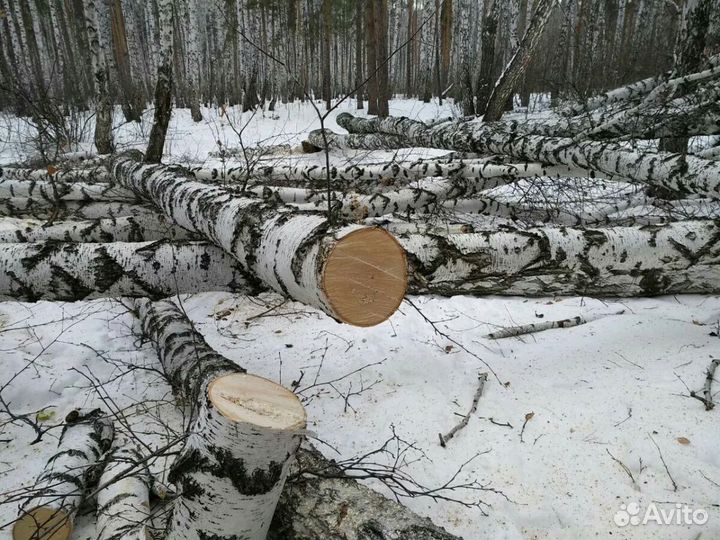 Дрова береза и осина