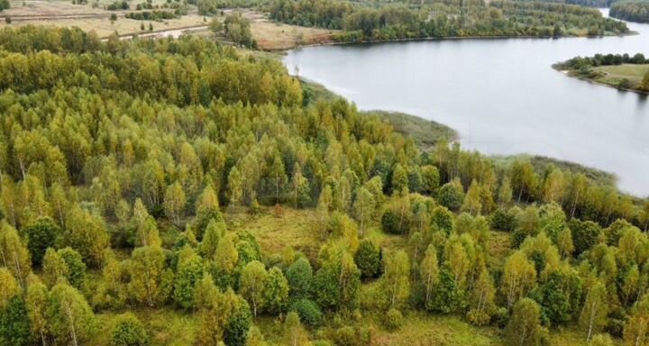 Участок 12,2 га (ИЖС)