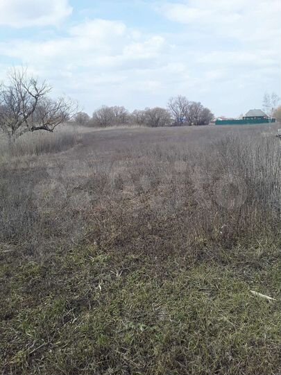 Участок 40 сот. (ИЖС)