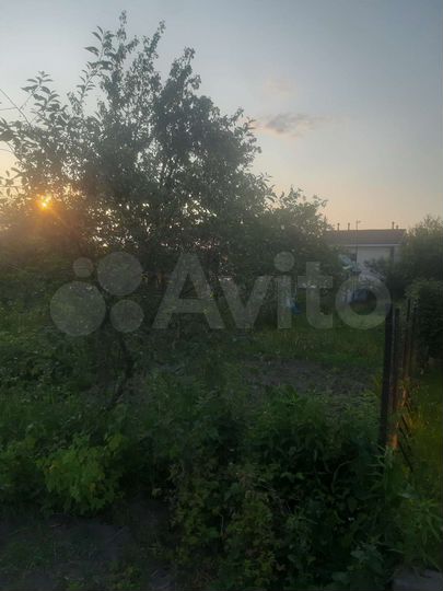 Участок 5,1 сот. (СНТ, ДНП)