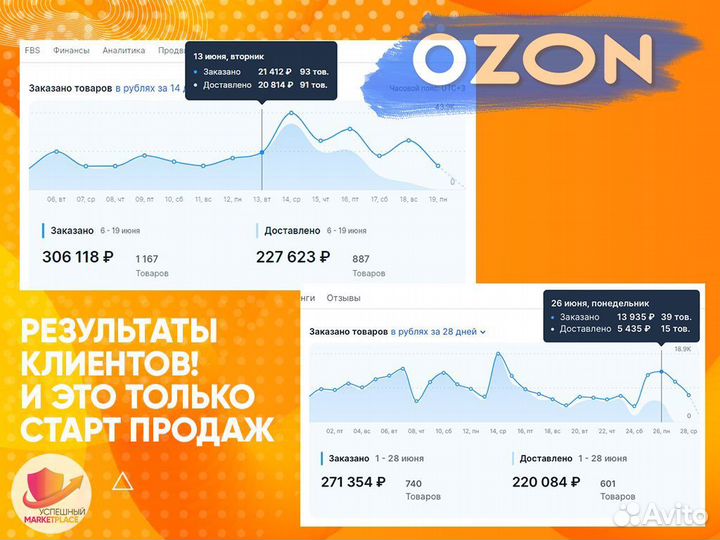 Действующий Бизнес на ozon