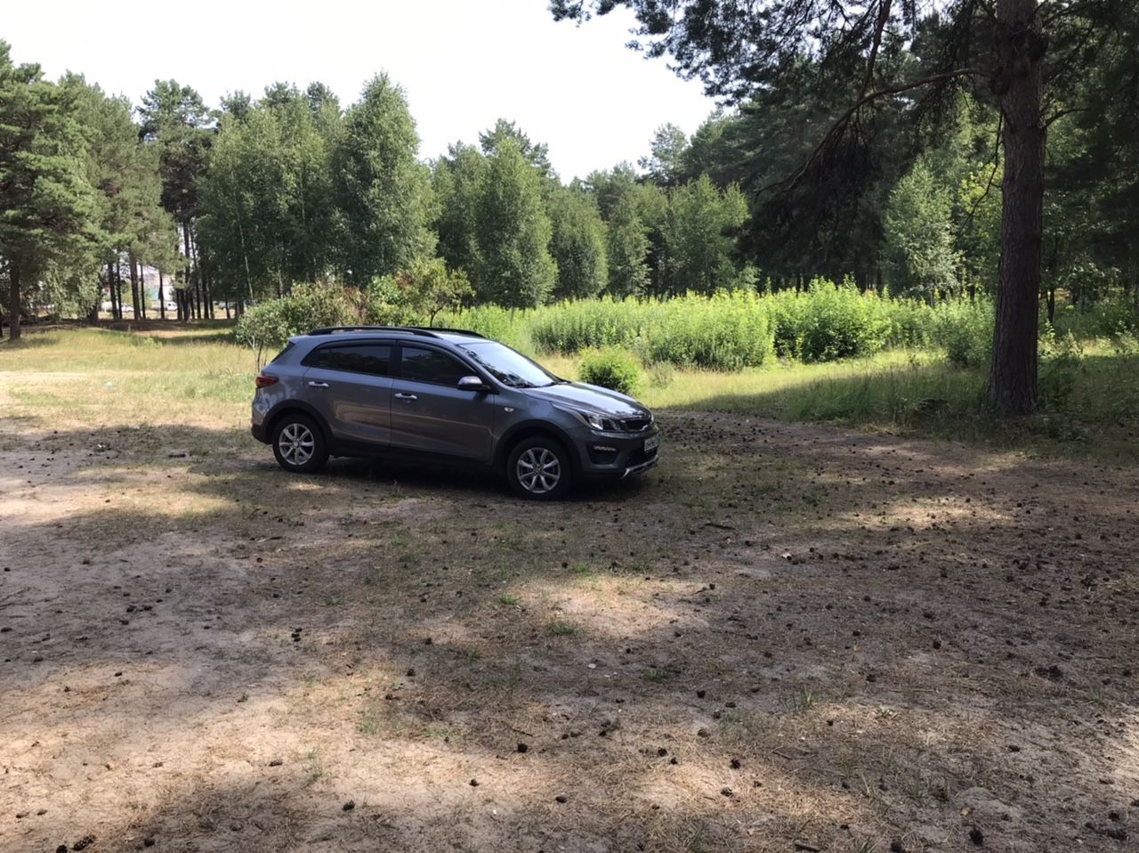 Kia Rio X-Line: фото владельца