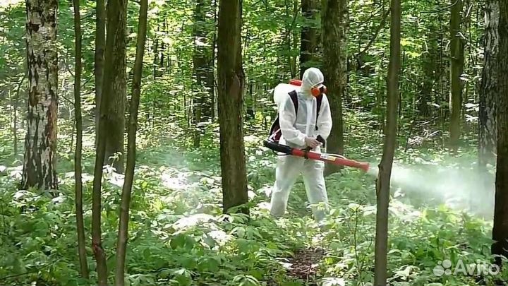 Обработка от клопов, тараканов, клещей и др