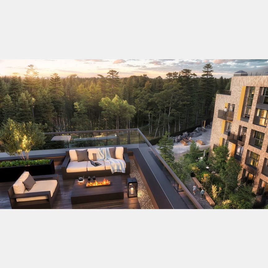 2-к. квартира, 53,8 м², 1/4 эт.