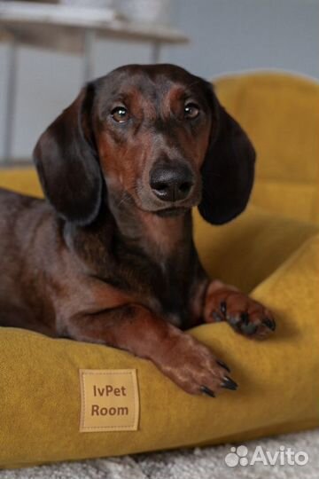 Такса вязка