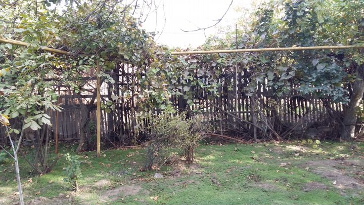 Дом 60 м² на участке 6 сот.