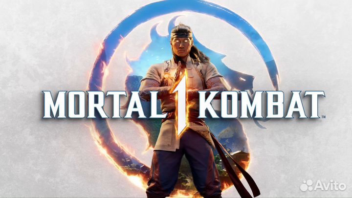 Игра Mortal Kombat 1 Premium Edition PC