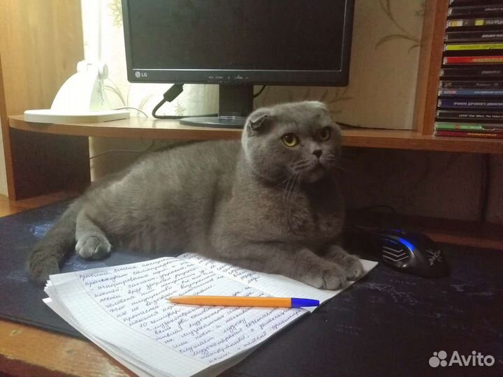 Переписание лекций