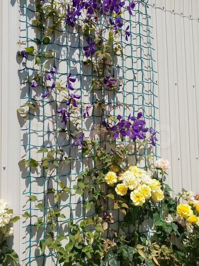 Квартира-студия, 25 м², 1/1 эт.