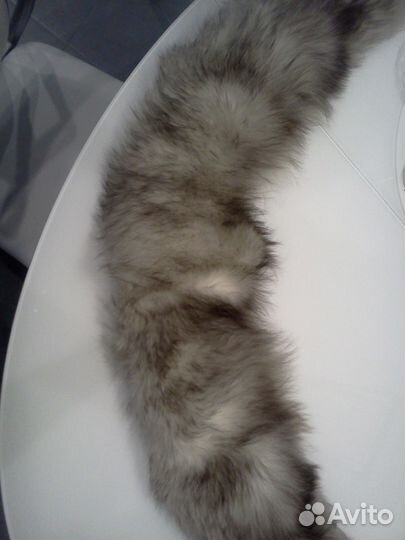 Песцовый воротник