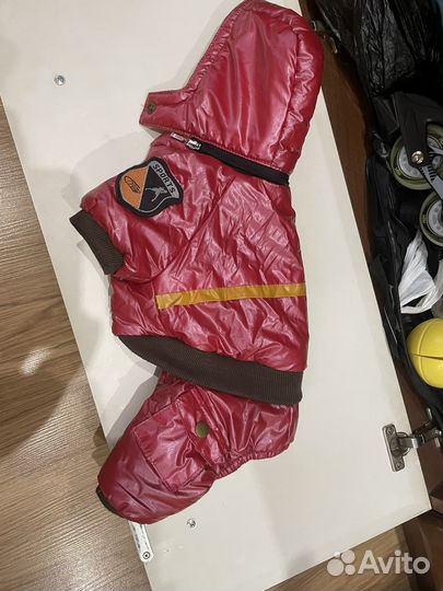 Комбинезон для собок мелких пород зимний