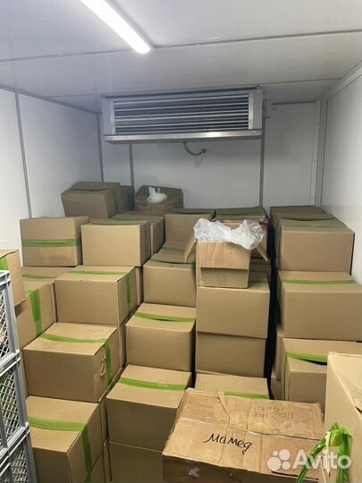 Малина заморозка оптом