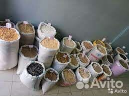 Зерно ячмень