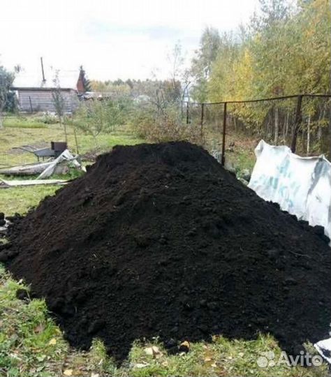Чернозем