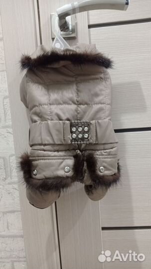 Утепленный костюм для щенка, девочки