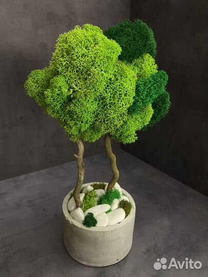 Дерево из мха