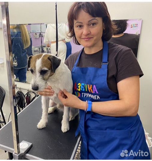 Груминг. Стрижка ваших питомцев