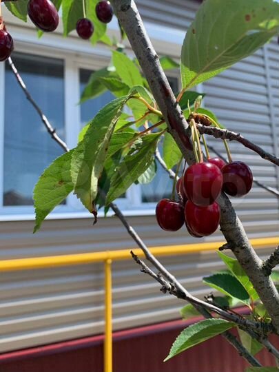 Дом 90 м² на участке 5,5 сот.