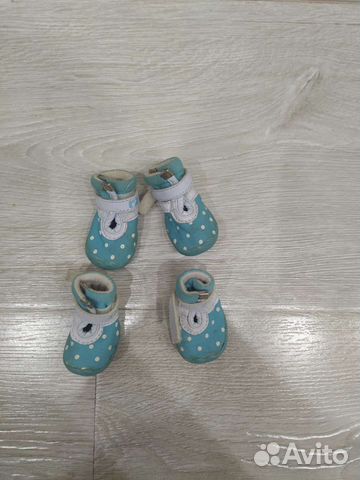 Обувь для маленьких собак