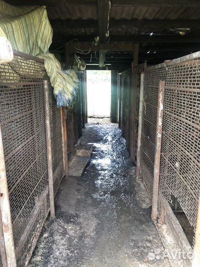 Личное подсобное хозяйство