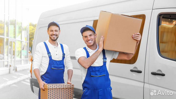 Помощник экспедитора(можно без опыта)