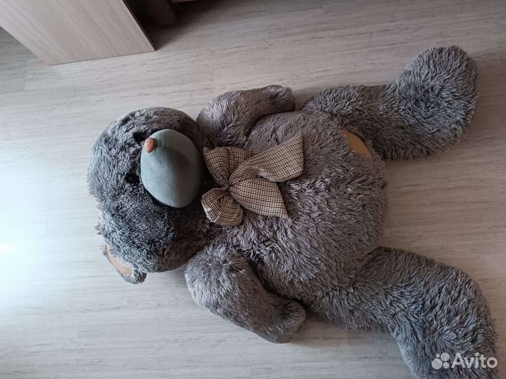 Продам медведя
