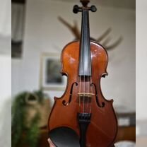 Скрипка Stentor 4/4 (Полный ученический комплект), Ивангород