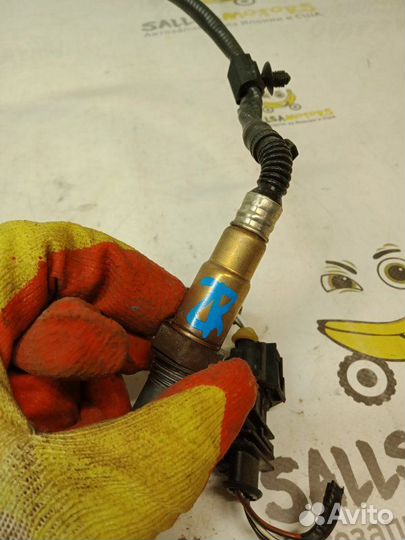 Датчик кислородный задний правый Porsche Cayenne