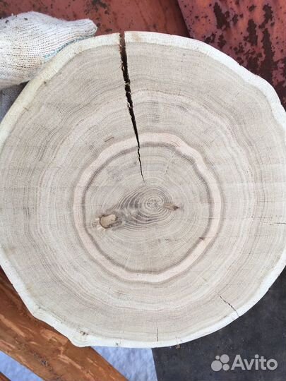 Спил Слэб Дуб Карагач