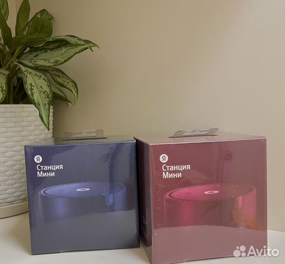 Новая колонка Яндекс станция мини