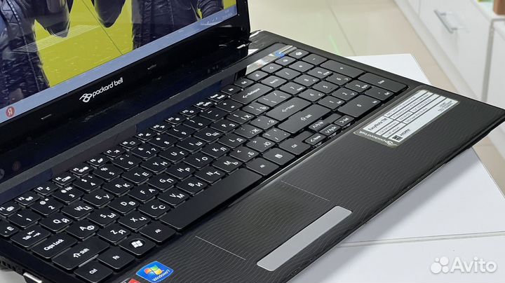 Красивый ноутбук для учебы Packard Bell