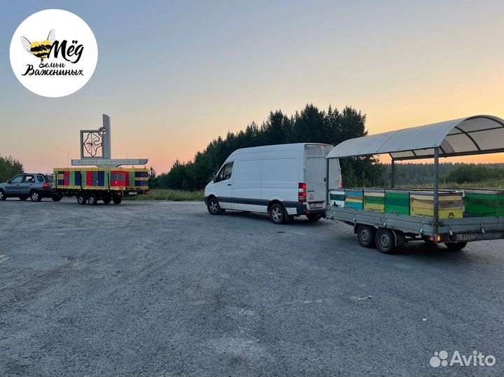 Мед свежий натуральный. Акация