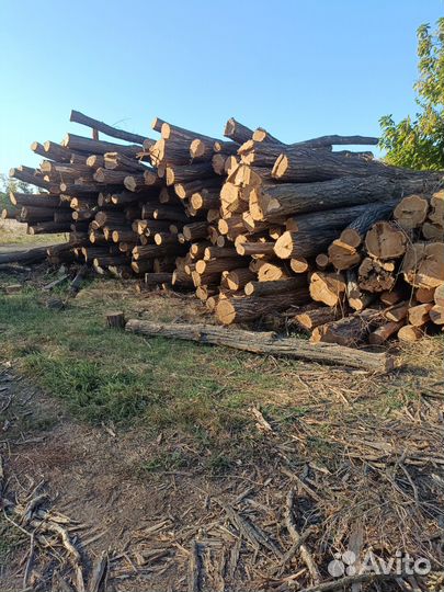 Бревно акации