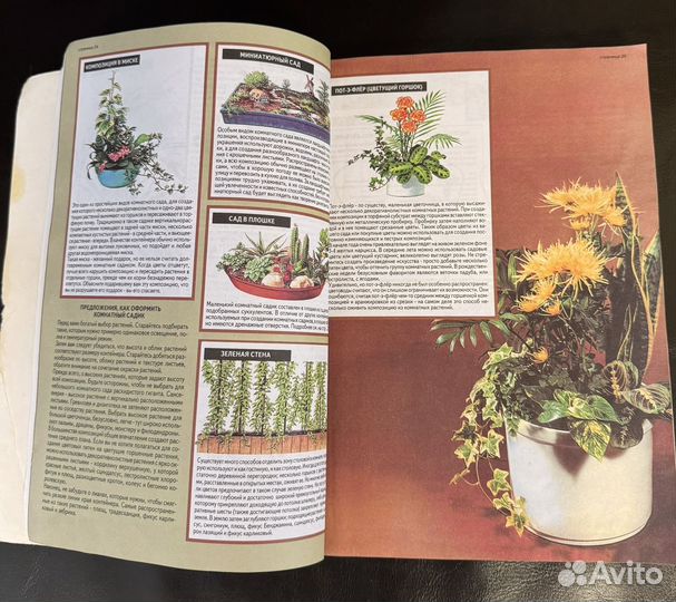 Хессайон 2 книги