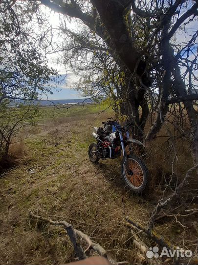 Продам Ттр 125 ирбис