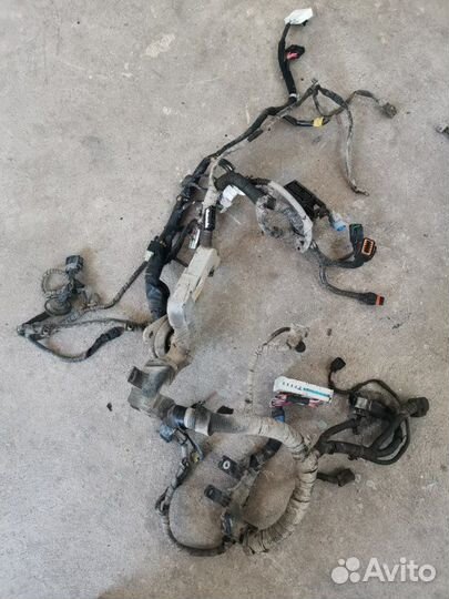 Проводка двс Hyundai Sonata седан тагаз G4JP 2005