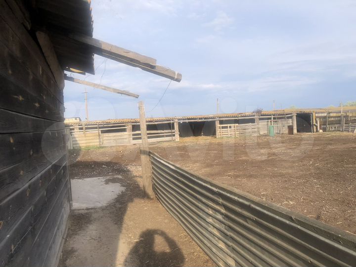 Участок 50 га (СНТ, ДНП)