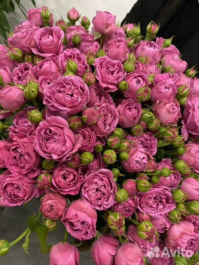 Букет из кустовой розы мисти баблз