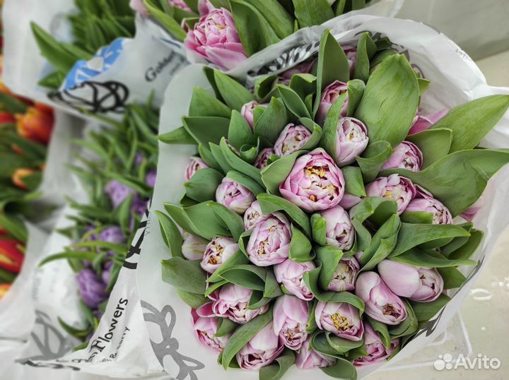 Тюльпаны к 8 марта Пионовидные Разноцветные