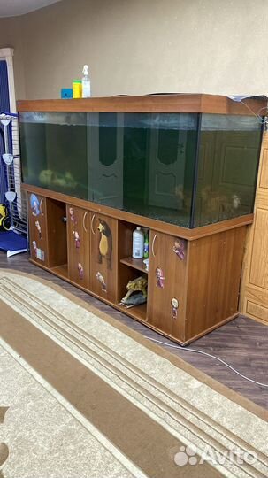 Аквариум с тумбой 1000 литров