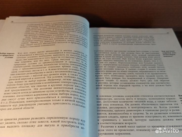 В. Малик 1000 советов животноводам-любителям 1982