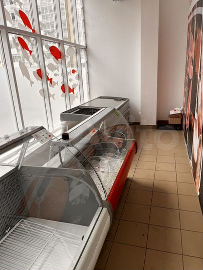 Свободного назначения, 11 м²