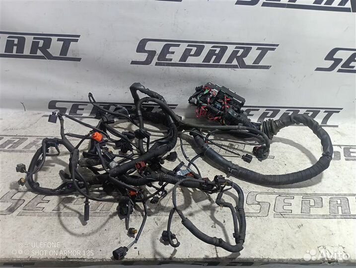 Проводка двигателя (коса) Audi Q5 8R 3.0 CCW 2010