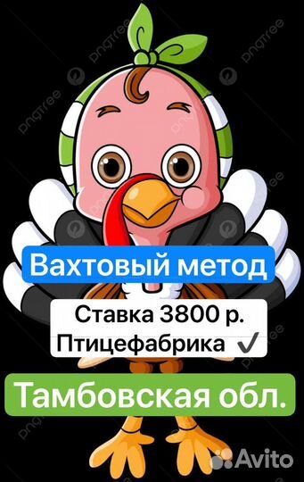 Упаковщики вахтовый метод Тамбов Птицефабрика