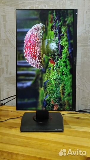 Мониторы игровые 2к 144гц
