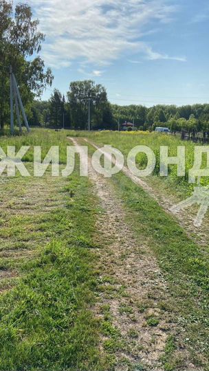 Участок 12 сот. (СНТ, ДНП)